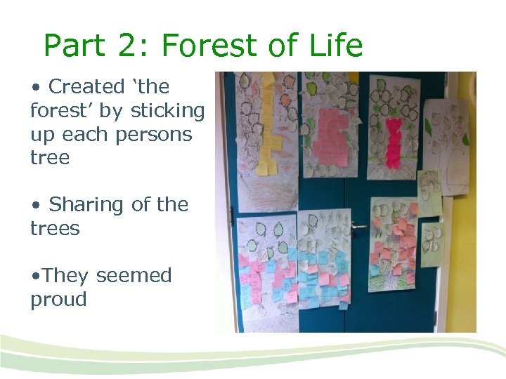 Part 2: Forest of Life • Created ‘the forest’ by sticking up each persons