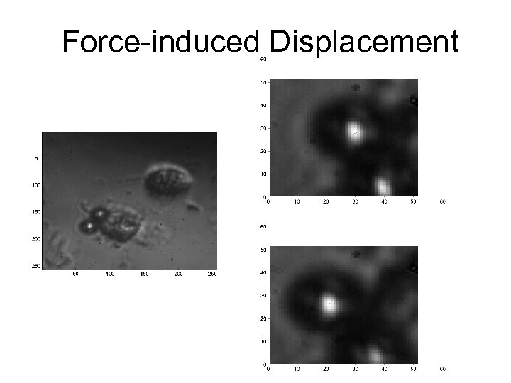 Force-induced Displacement 
