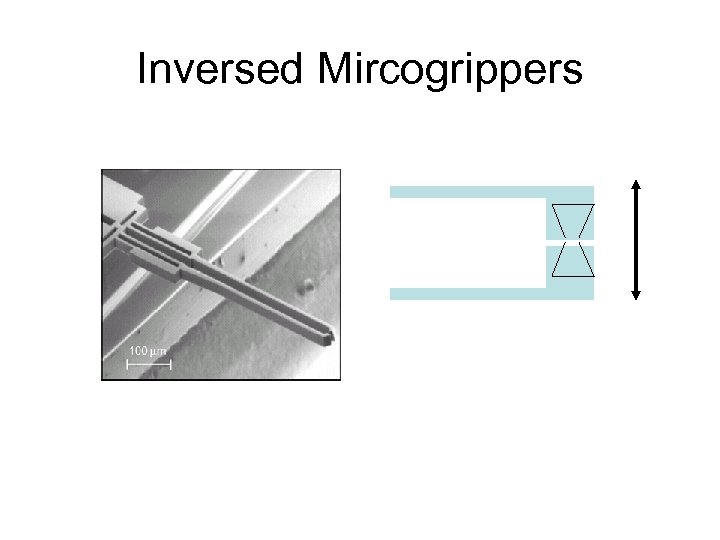 Inversed Mircogrippers 
