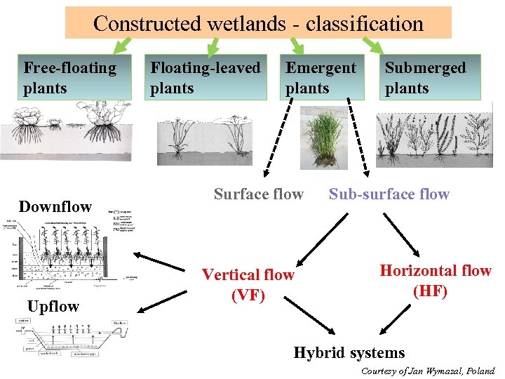 Constructed wetlands - classification Free-floating plants Downflow Upflow Floating-leaved plants Emergent plants Surface flow