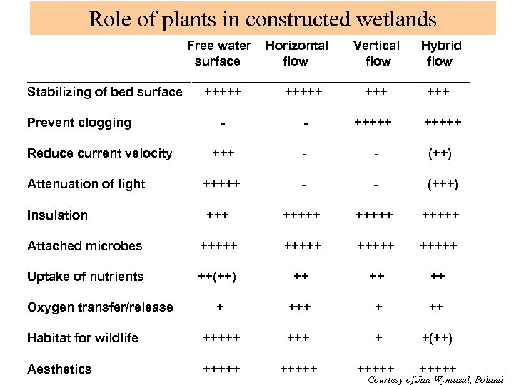 Role of plants in constructed wetlands Free water Horizontal Vertical Hybrid surface flow _______________________________