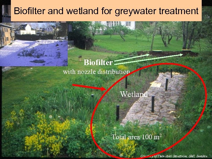 Biofilter and wetland for greywater treatment Biofilter with nozzle distribution Wetland Total area 100