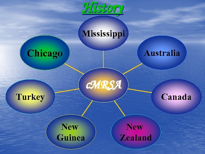History Mississippi Chicago Australia c. MRSA Turkey New Guinea New Zealand Canada 