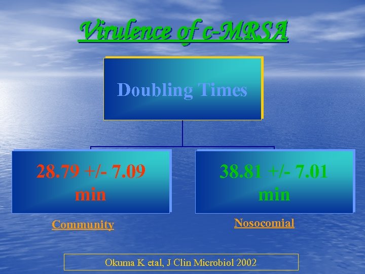 Virulence of c-MRSA Doubling Times 28. 79 +/- 7. 09 min Community 38. 81