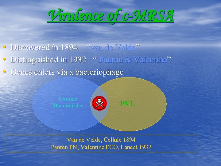 Virulence of c-MRSA • • • Discovered in 1894 “van de Velde” Distinguished in