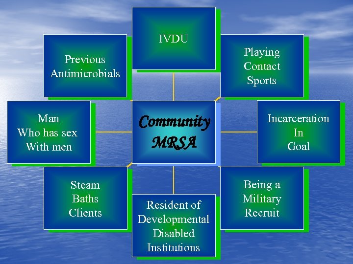 IVDU Playing Contact Sports Previous Antimicrobials Man Who has sex With men Steam Baths