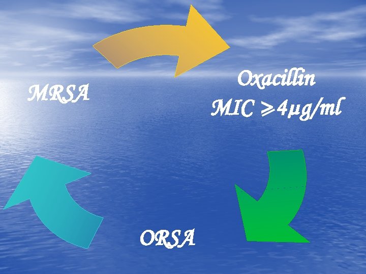 Oxacillin MIC > 4µg/ml MRSA ORSA 