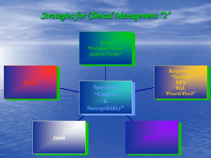 Strategies for Clinical Management “ 2” Fluid “Purtulent lesions Abscess Cavity” Bone Respiratory “Sputum