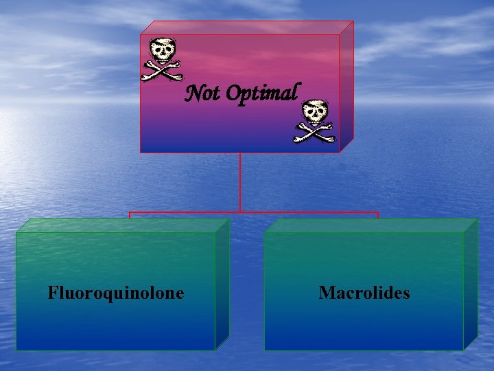 Not Optimal Fluoroquinolone Macrolides 