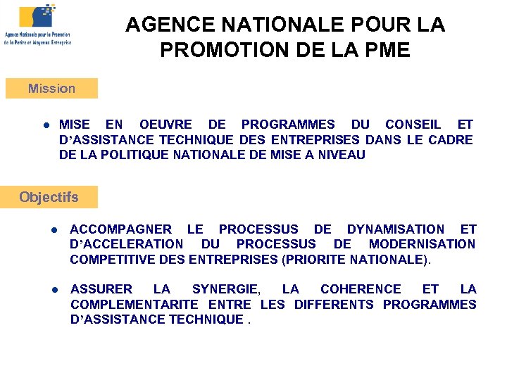 AGENCE NATIONALE POUR LA PROMOTION DE LA PME Mission MISE EN OEUVRE DE PROGRAMMES