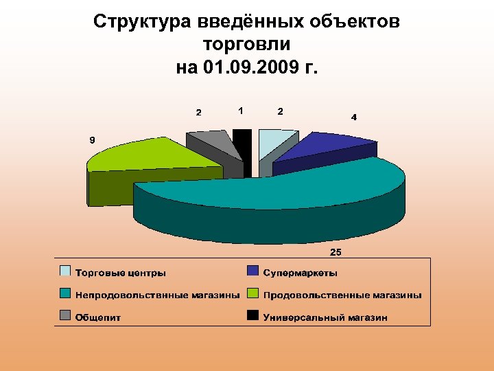 Структура введённых объектов торговли на 01. 09. 2009 г. 