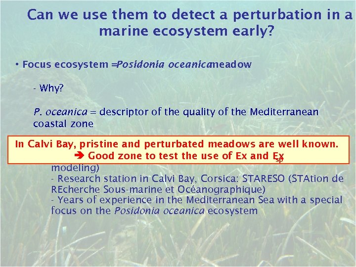 Can we use them to detect a perturbation in a marine ecosystem early? •