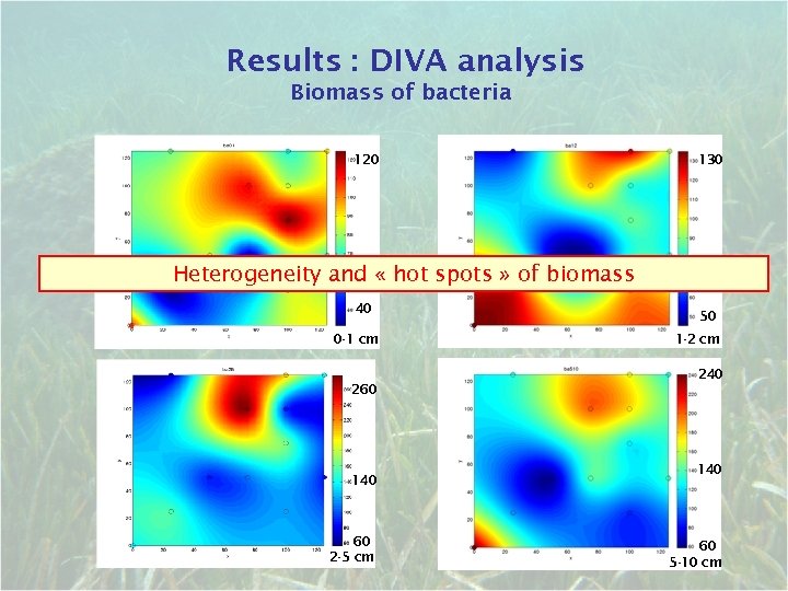 Results : DIVA analysis Biomass of bacteria 120 130 Heterogeneity and « hot spots