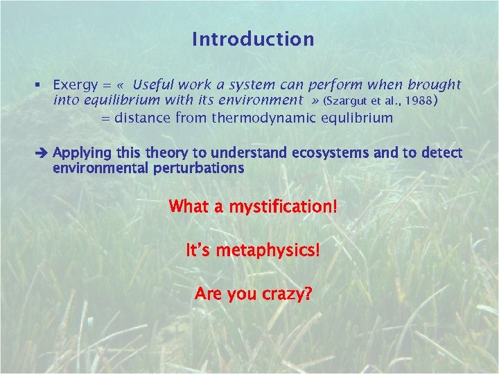 Introduction § Exergy = « Useful work a system can perform when brought into