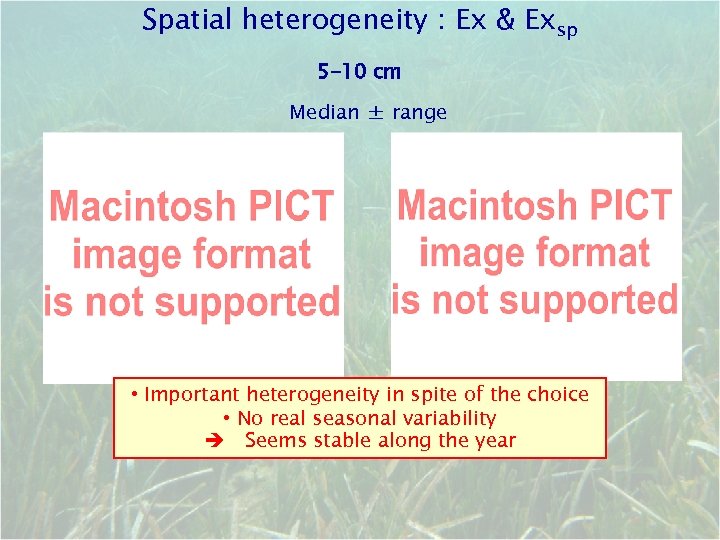 Spatial heterogeneity : Ex & Exsp 5 -10 cm Median ± range • Important