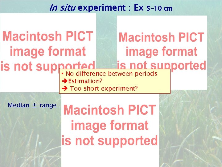 In situ experiment : Ex 5 -10 cm • No difference between periods Estimation?