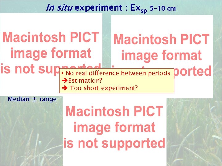 In situ experiment : Exsp 5 -10 cm • No real difference between periods