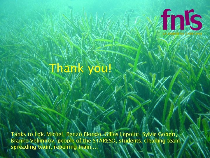 Thank you! Tanks to Loïc Michel, Renzo Biondo, Gilles Lepoint, Sylvie Gobert, Branko Velimirov,