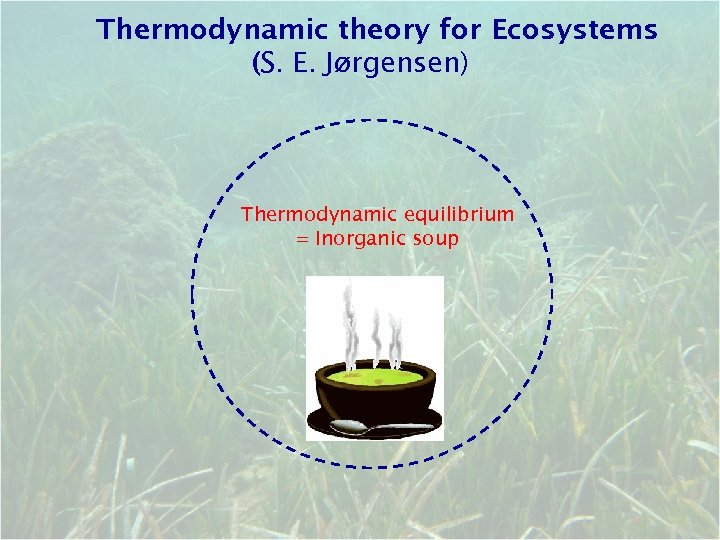Thermodynamic theory for Ecosystems (S. E. Jørgensen) Thermodynamic equilibrium = Inorganic soup 