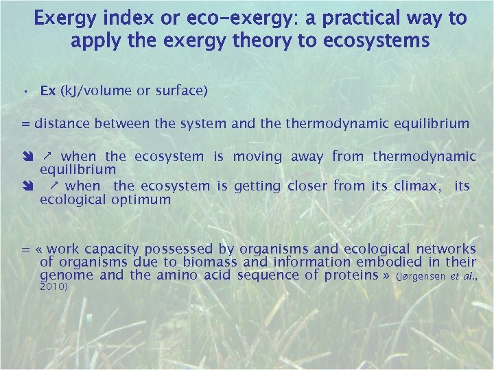 Exergy index or eco-exergy: a practical way to apply the exergy theory to ecosystems