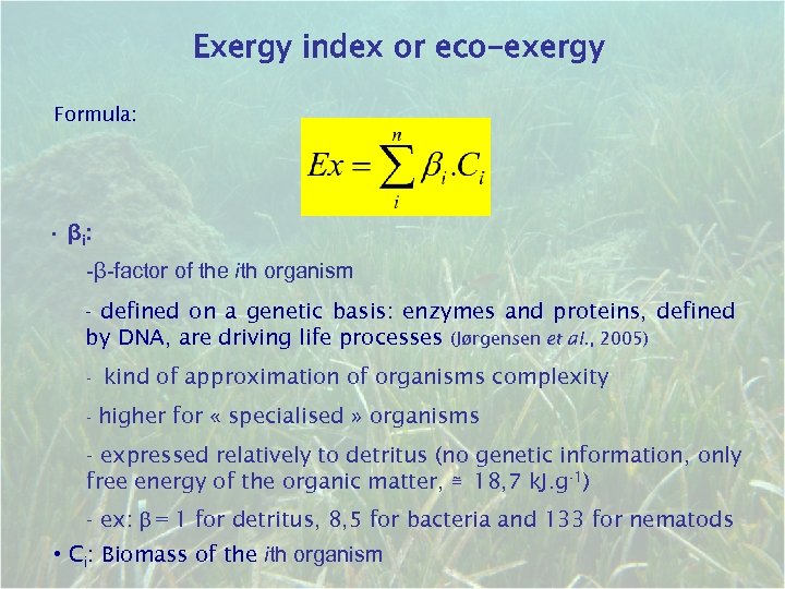 Exergy index or eco-exergy Formula: • βi: -β-factor of the ith organism - defined