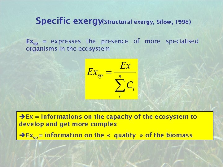 Specific exergy(Structural exergy, Silow, 1998) Exsp = expresses the presence of more specialised organisms