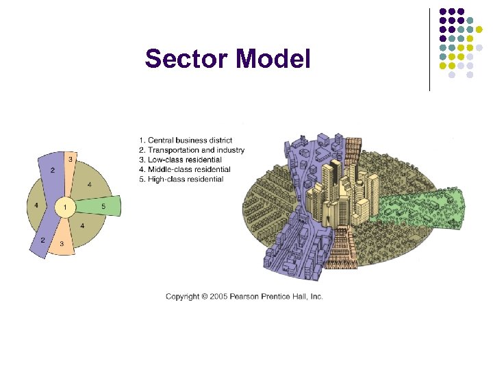 Sector Model 