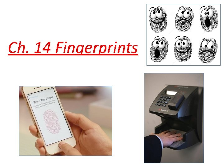 Ch. 14 Fingerprints 