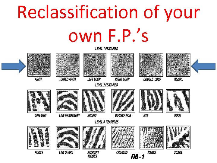 Reclassification of your own F. P. ’s 