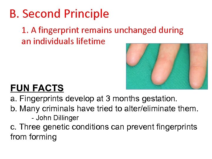 B. Second Principle 1. A fingerprint remains unchanged during an individuals lifetime FUN FACTS