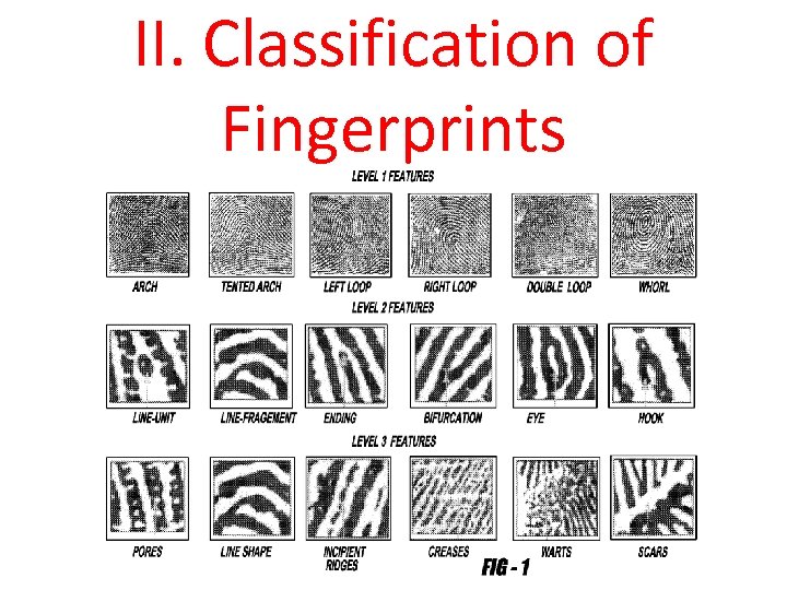 II. Classification of Fingerprints 
