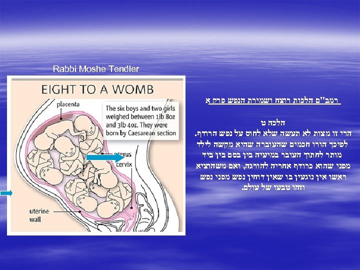  Rabbi Moshe Tendler רמב"ם הלכות רוצח ושמירת הנפש פרק א הלכה ט הרי