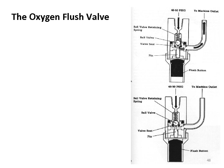 The Oxygen Flush Valve 48 