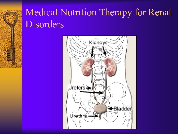 Medical Nutrition Therapy for Renal Disorders . 