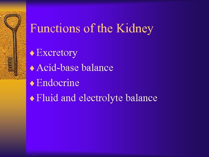 Functions of the Kidney ¨ Excretory ¨ Acid-base balance ¨ Endocrine ¨ Fluid and