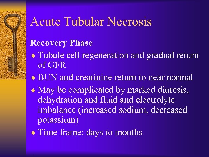 Acute Tubular Necrosis Recovery Phase ¨ Tubule cell regeneration and gradual return of GFR