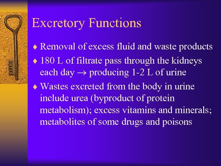 Excretory Functions ¨ Removal of excess fluid and waste products ¨ 180 L of