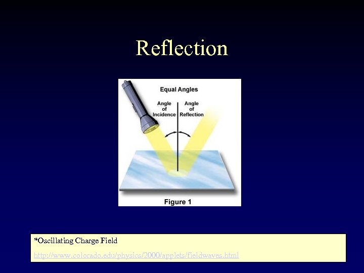 Reflection *Oscillating Charge Field http: //www. colorado. edu/physics/2000/applets/fieldwaves. html 