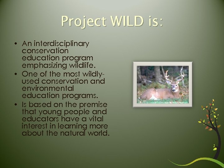 Project WILD is: • An interdisciplinary conservation education program emphasizing wildlife. • One of