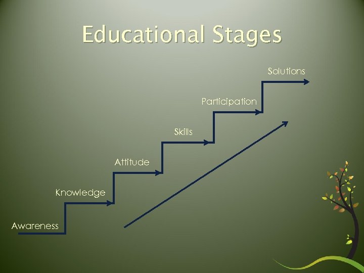 Educational Stages Solutions Participation Skills Attitude Knowledge Awareness 