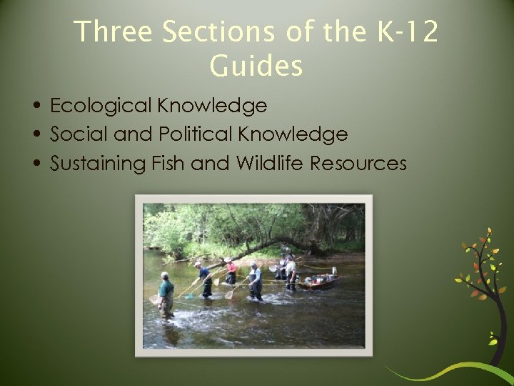 Three Sections of the K-12 Guides • Ecological Knowledge • Social and Political Knowledge