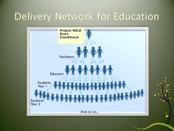 Delivery Network for Education Project WILD State Coordinator 