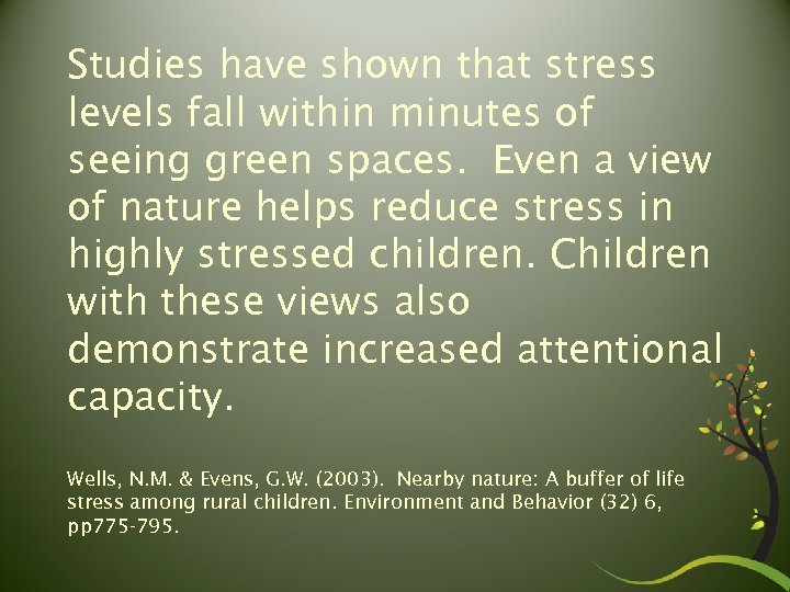 Studies have shown that stress levels fall within minutes of seeing green spaces. Even