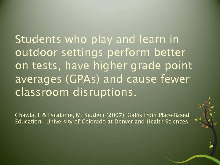 Students who play and learn in outdoor settings perform better on tests, have higher