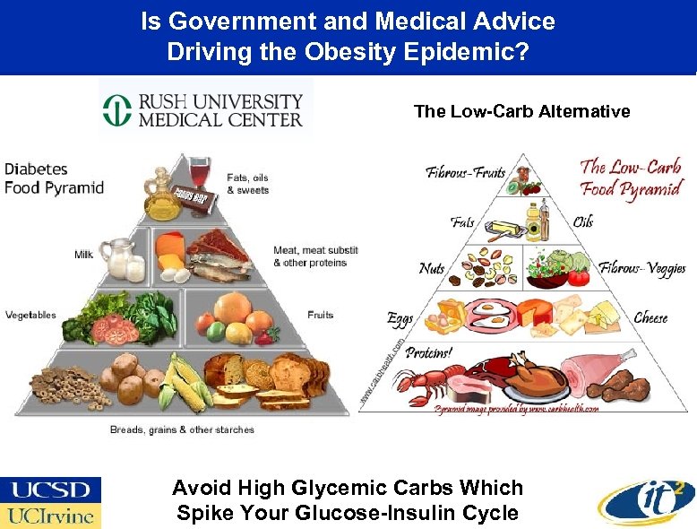 Is Government and Medical Advice Driving the Obesity Epidemic? The Low-Carb Alternative Avoid High