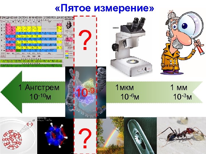  «Пятое измерение» ? 1 Ангстрем 1 мкм 1 мм 10 -9 10 -10
