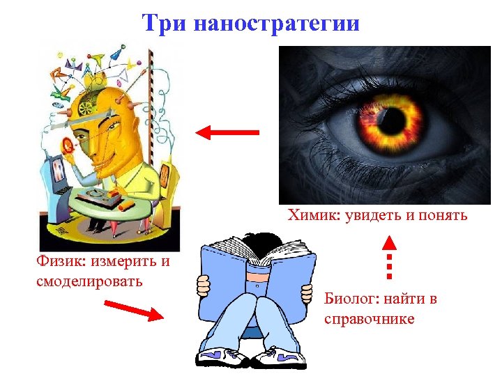 Три наностратегии Химик: увидеть и понять Физик: измерить и смоделировать Биолог: найти в справочнике
