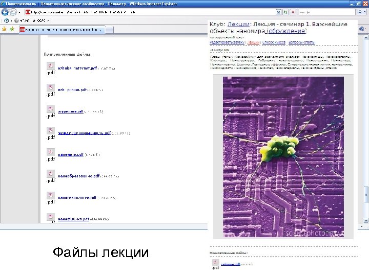 Файлы лекции 48 