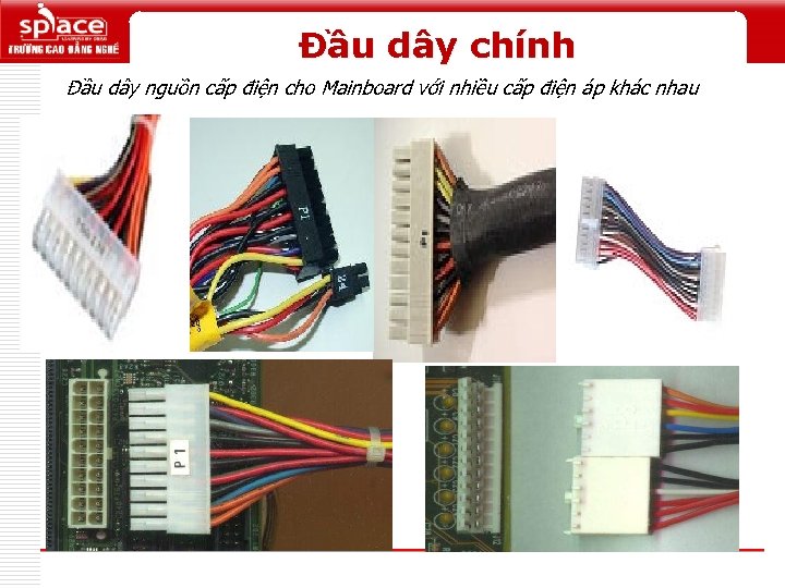 Đầu dây chính Đầu dây nguồn cấp điện cho Mainboard với nhiều cấp điện