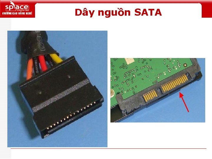 Dây nguồn SATA Logo 